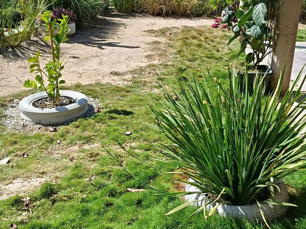 Fazenda, Centro, 3 Quartos, 3 Vagas, 1 Suíte