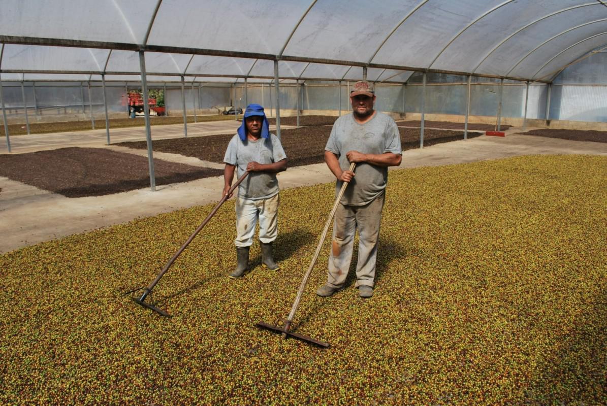 Fazenda, Zona Rural, 0 Quarto, 0 Vaga