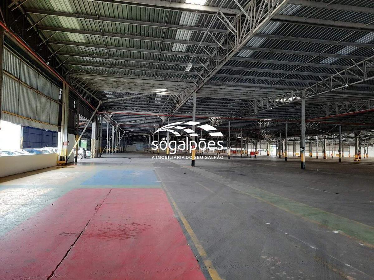 Galpão, Universitário