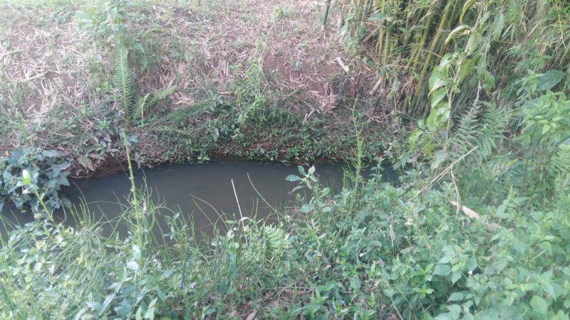 Fazenda, Guedes, 0 Quarto, 0 Vaga
