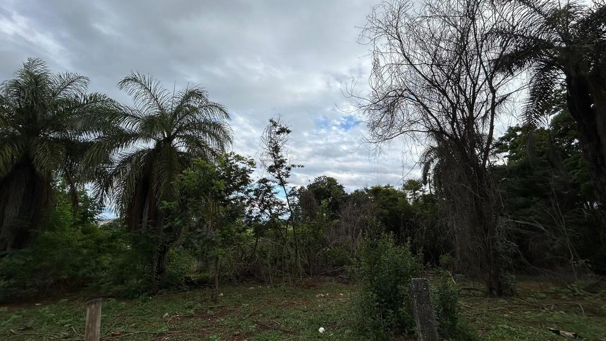 Lote, Jardim Encantado, 0 Quarto, 0 Vaga