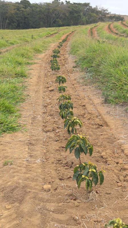 Fazenda, Zona Rural, 0 Quarto, 0 Vaga