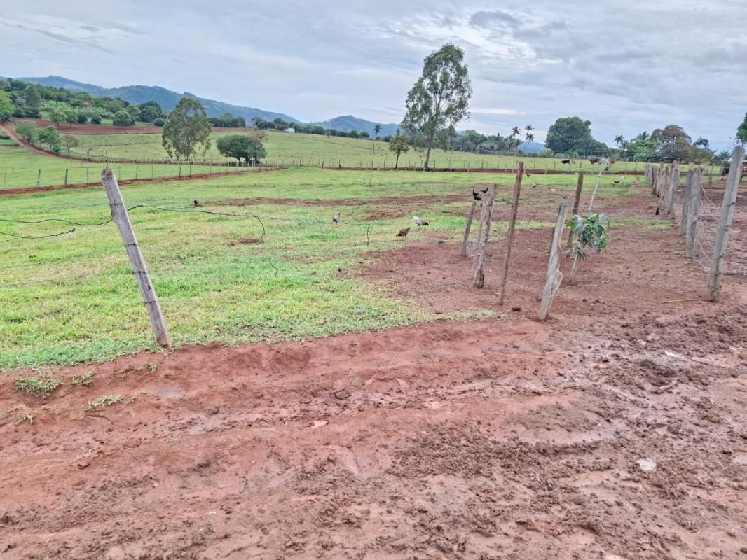 Fazenda, Zona Rural, 0 Quarto, 0 Vaga