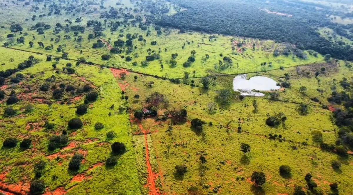 Fazenda, Zona Rural, 0 Quarto, 0 Vaga