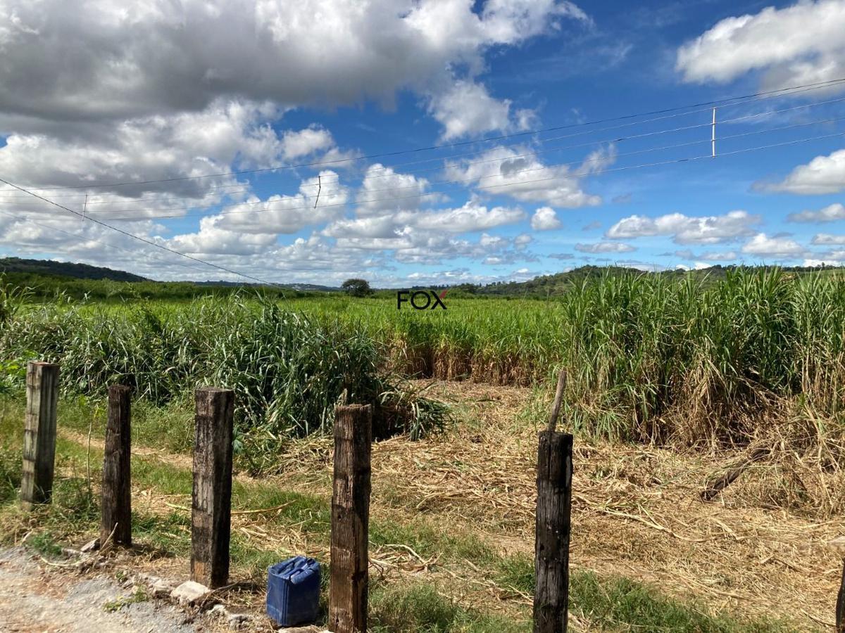 Lote, Inácia de Carvalho, 0 Quarto, 0 Vaga