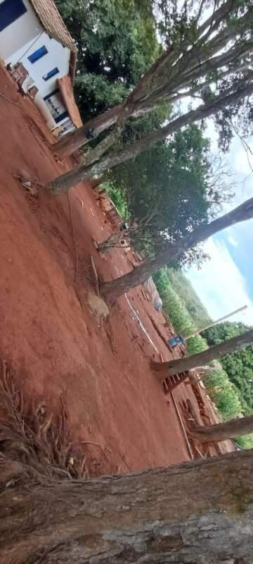 Fazenda, Centro, 0 Quarto, 0 Vaga