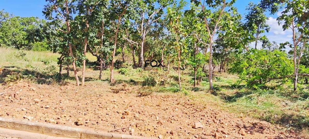 Lote, Centro, 0 Quarto, 0 Vaga