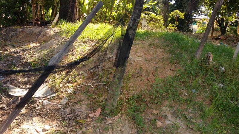 Lote, Alvorada, 0 Quarto, 0 Vaga