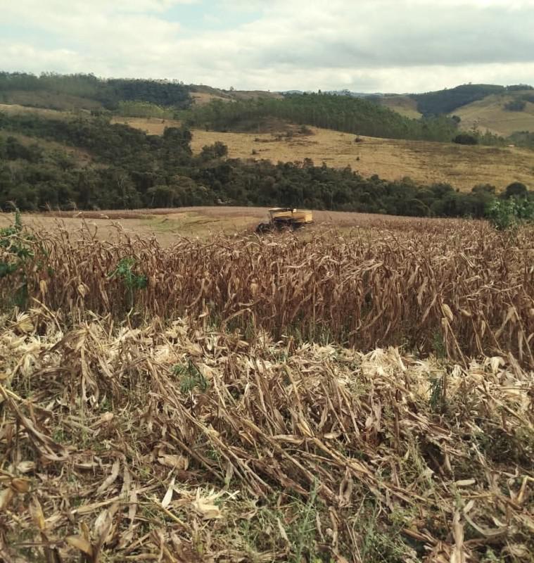 Fazenda, Zona Rural, 0 Quarto, 0 Vaga