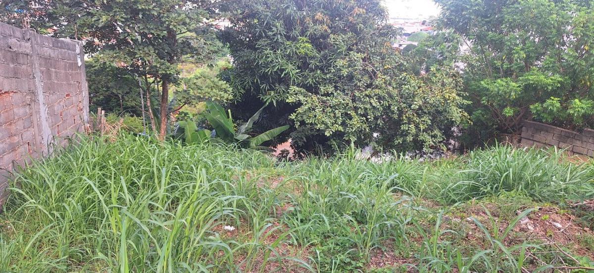 Lote, Centro, 0 Quarto, 0 Vaga