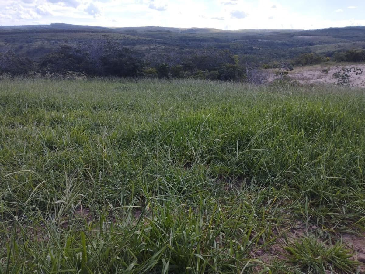 Fazenda, Zona Rural, 3 Quartos, 0 Vaga