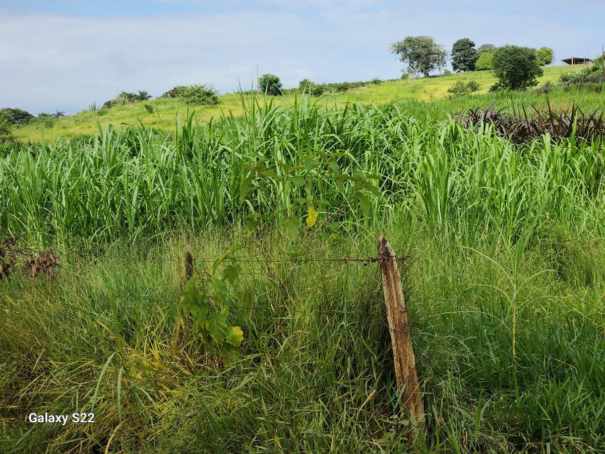 Fazenda, Centro, 2 Quartos, 0 Vaga