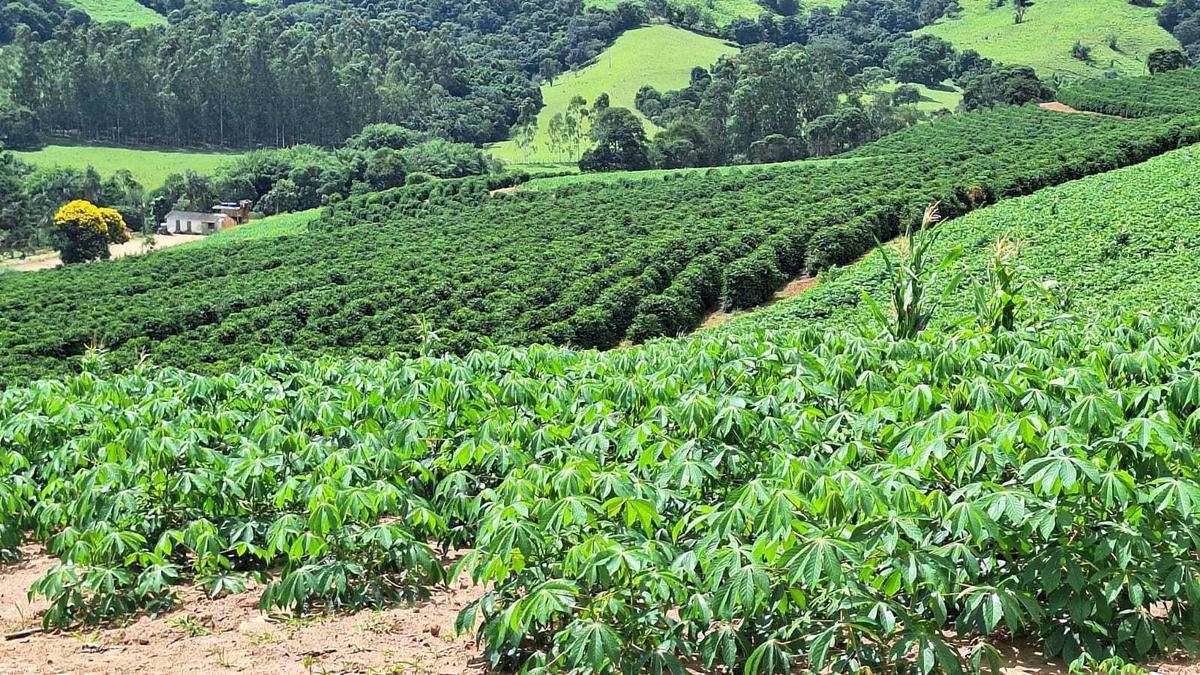 Fazenda, Zona Rural, 3 Quartos, 0 Vaga