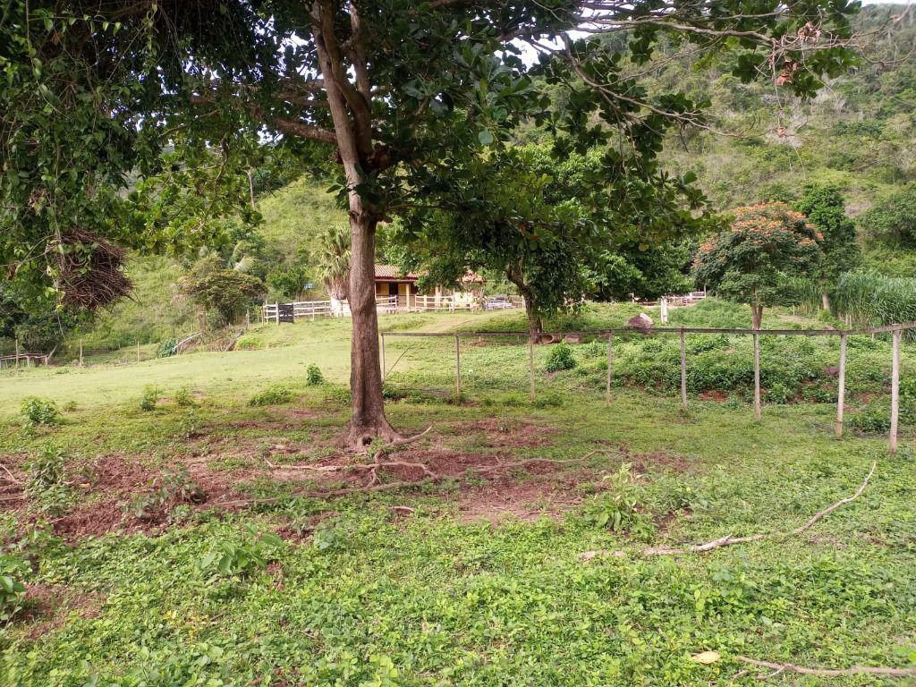Fazenda, Centro, 3 Quartos, 0 Vaga, 1 Suíte