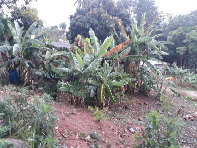 Fazenda, Quintas da Serra, 5 Quartos, 10 Vagas, 1 Suíte