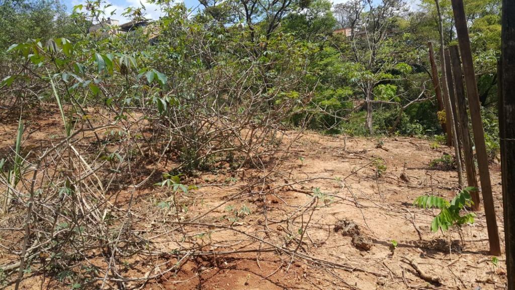 Lote, Rosário, 0 Quarto, 0 Vaga