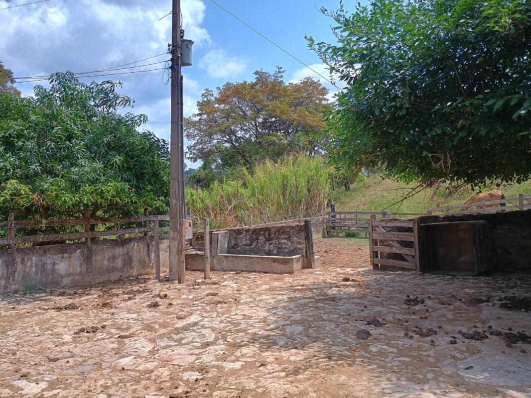 Fazenda, Centro, 3 Quartos, 3 Vagas, 2 Suítes
