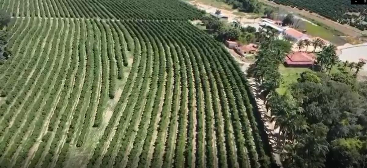 Fazenda, Zona Rural, 0 Quarto, 0 Vaga