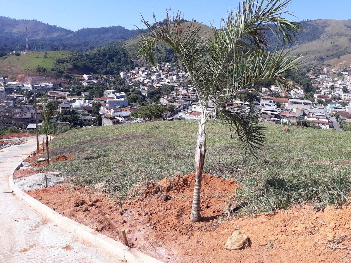 Lote, São José, 0 Quarto, 0 Vaga