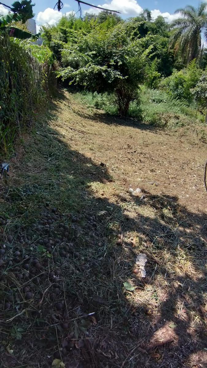 Lote, Solar do Madeira, 0 Quarto, 0 Vaga