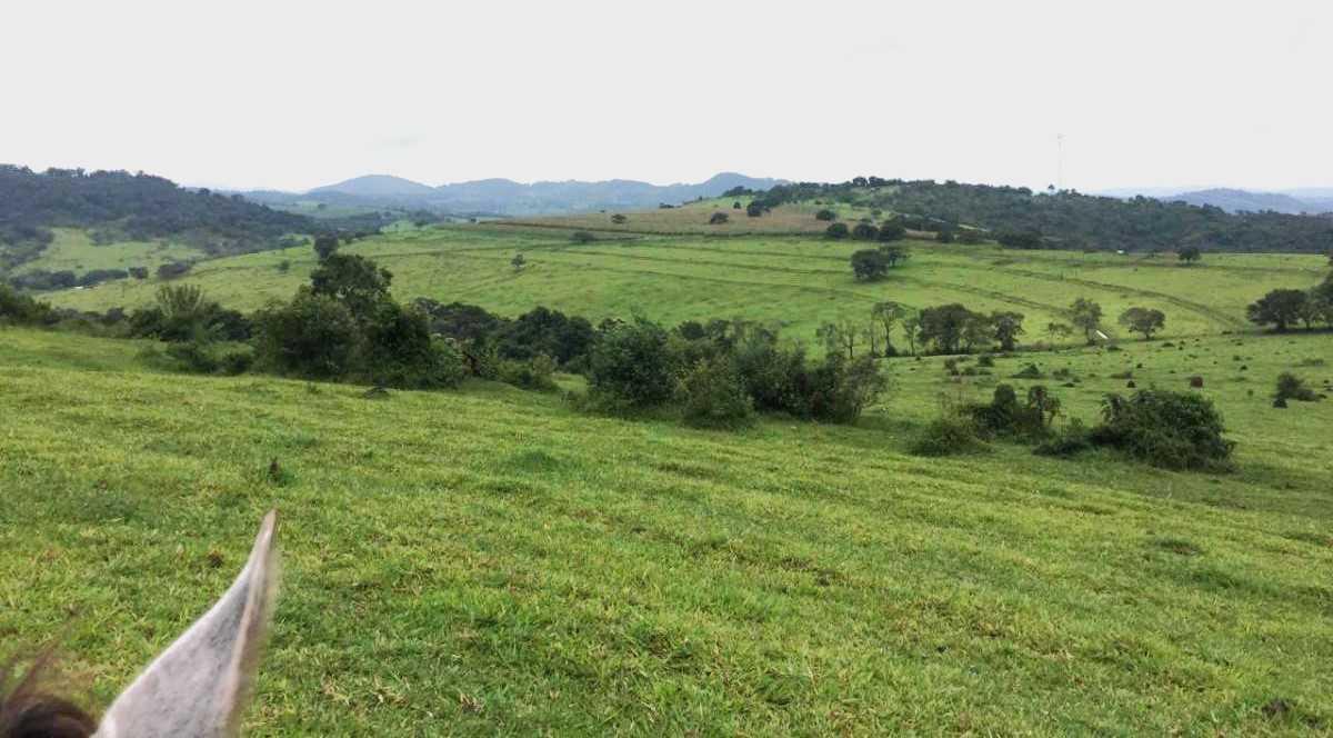 Fazenda, Zona Rural, 4 Quartos, 0 Vaga