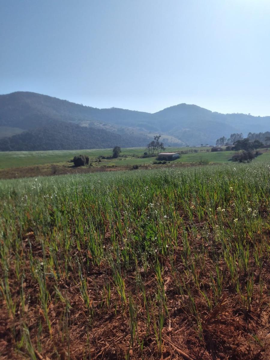 Fazenda, Zona Rural, 1 Quarto, 1 Vaga, 1 Suíte