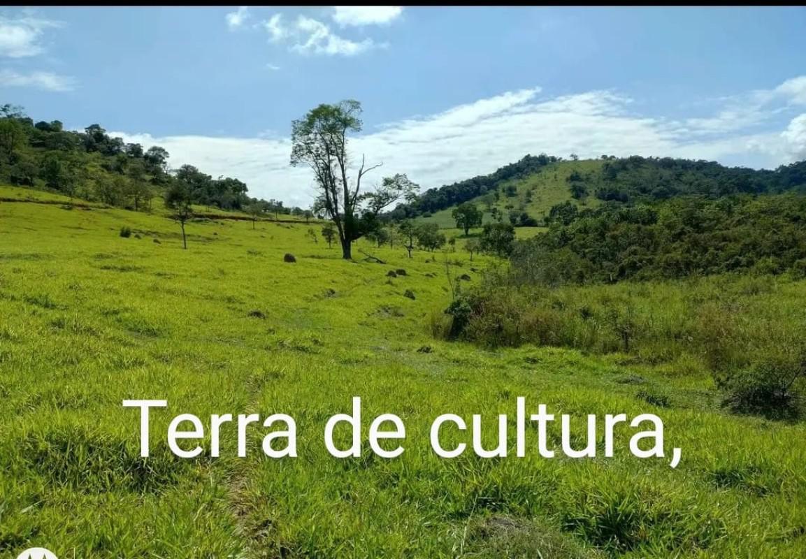 Lote, Centro, 0 Quarto, 0 Vaga