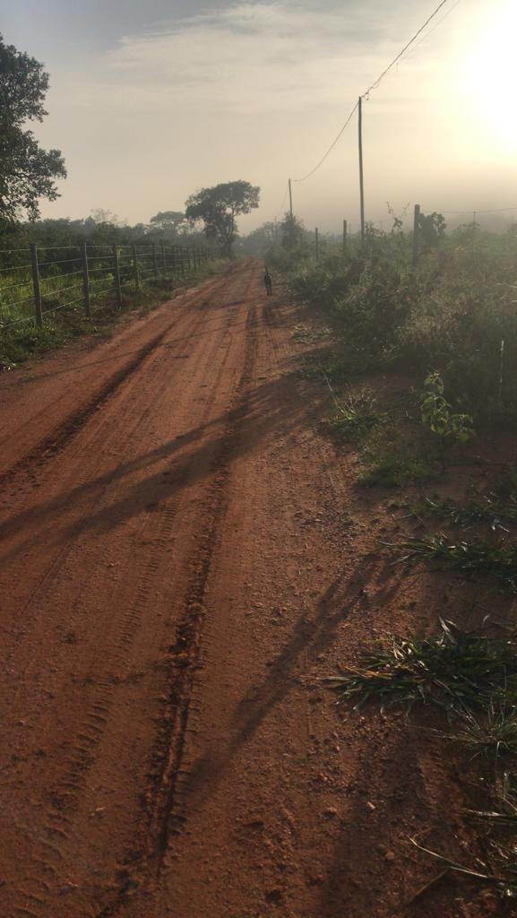 Fazenda, Área Rural de Pará de Minas, 3 Quartos, 0 Vaga, 1 Suíte