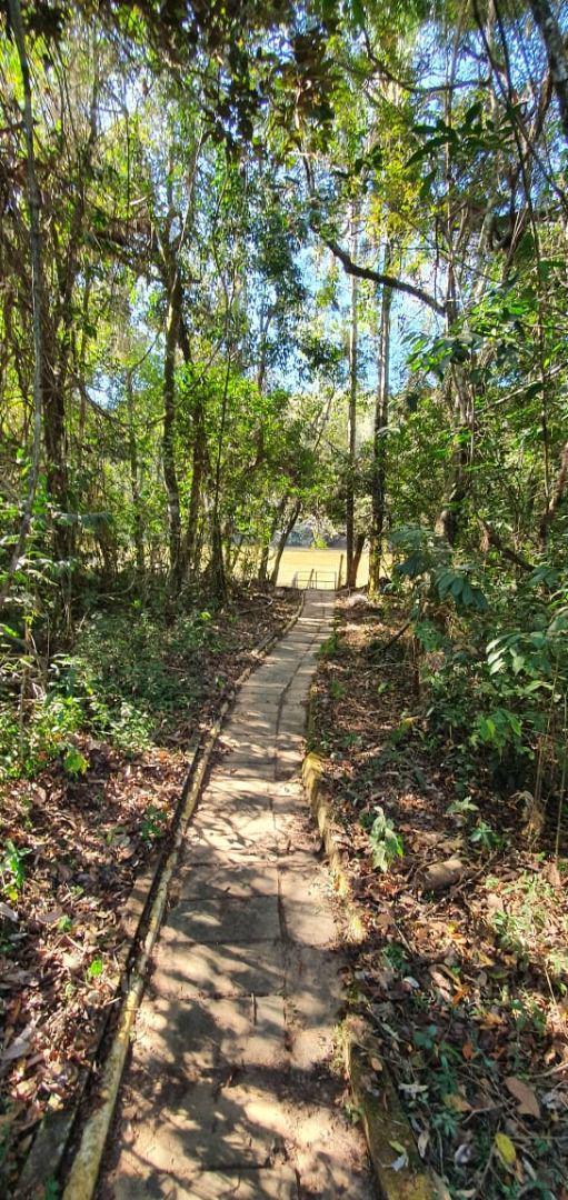 Lote, Zona Rural, 0 Quarto, 0 Vaga