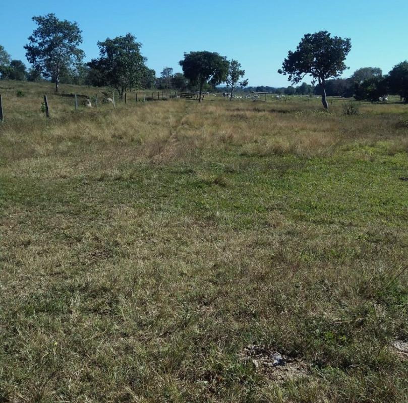 Fazenda, Zona Rural, 0 Quarto, 0 Vaga