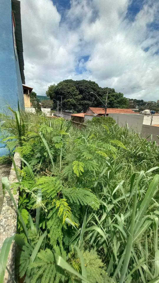 Lote, Santa Cruz, 0 Quarto, 0 Vaga