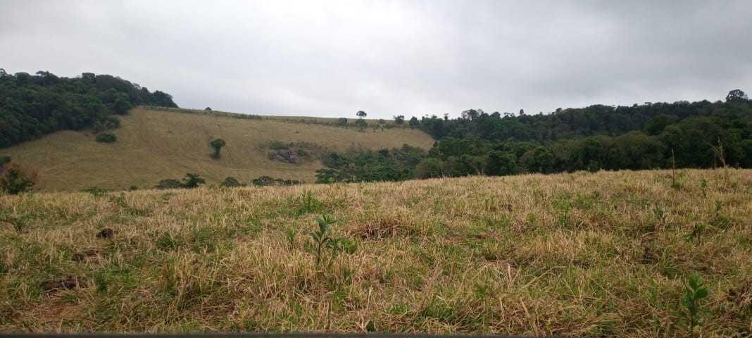 Fazenda, Centro, 0 Quarto, 0 Vaga
