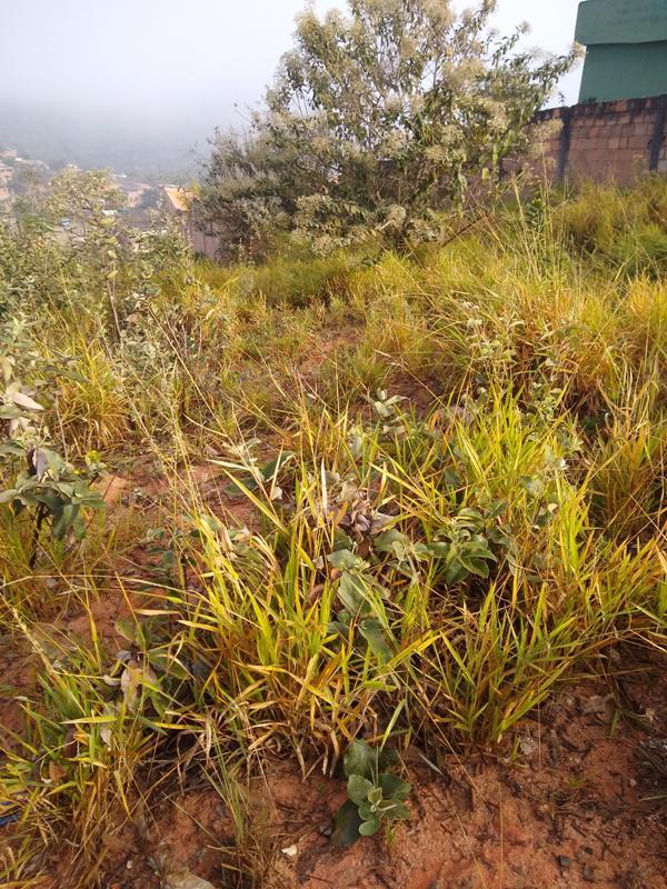 Lote, Icaivera, 0 Quarto, 0 Vaga