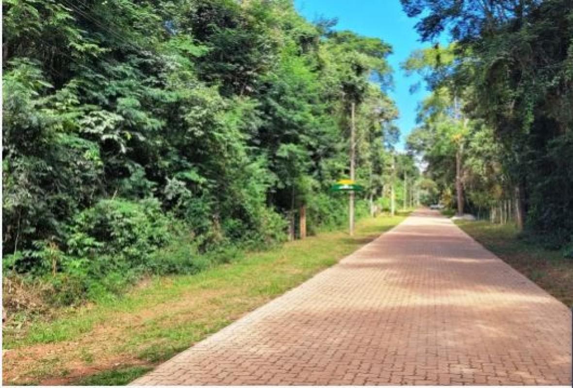 Lote, Condomínio Mãe Terra, 0 Quarto, 0 Vaga