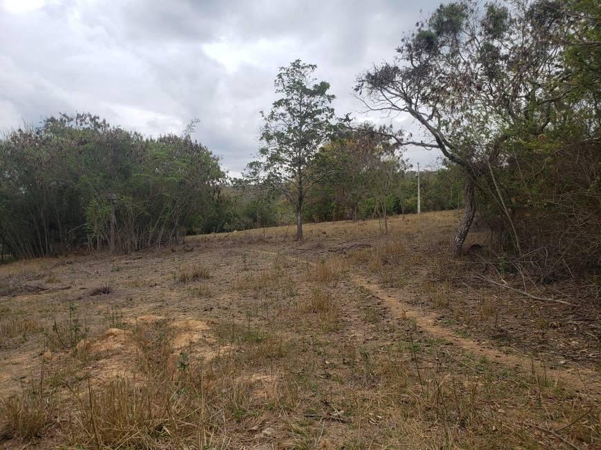 Fazenda, Centro, 0 Quarto, 0 Vaga