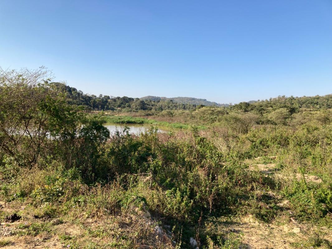 Lote, Santinho, 0 Quarto, 0 Vaga