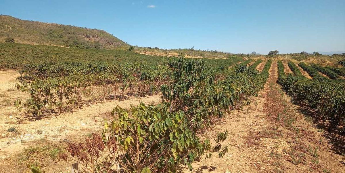 Fazenda, Zona Rural, 3 Quartos, 0 Vaga