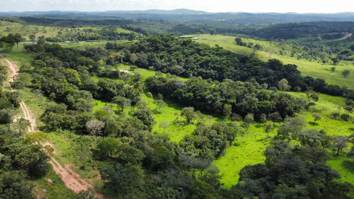 Fazenda, Centro, 0 Quarto, 0 Vaga