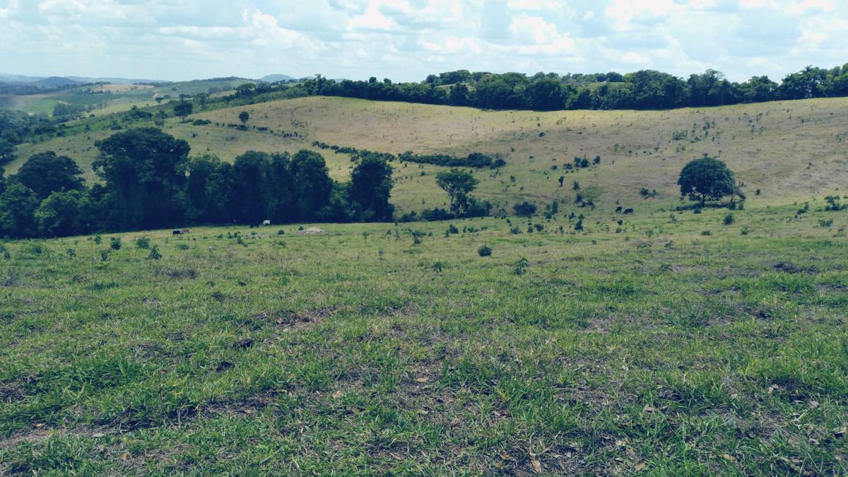 Fazenda, Zona Rural, 3 Quartos, 0 Vaga
