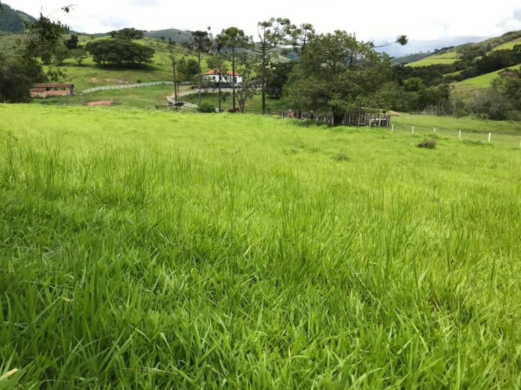Fazenda, Zona Rural, 0 Quarto, 0 Vaga