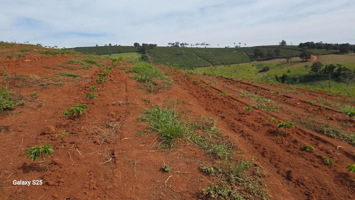 Fazenda, Zona Rural, 0 Quarto, 0 Vaga