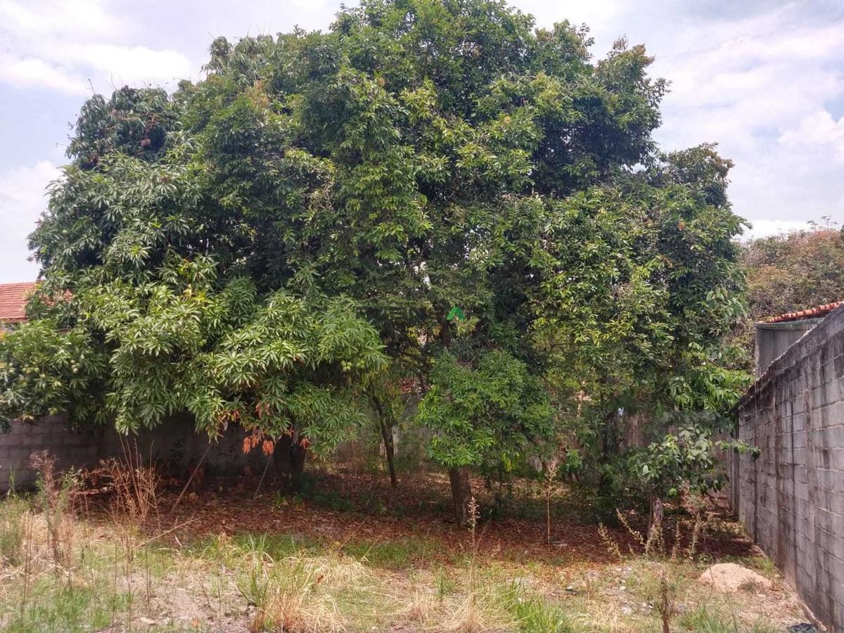 Lote, Regina, 0 Quarto, 0 Vaga