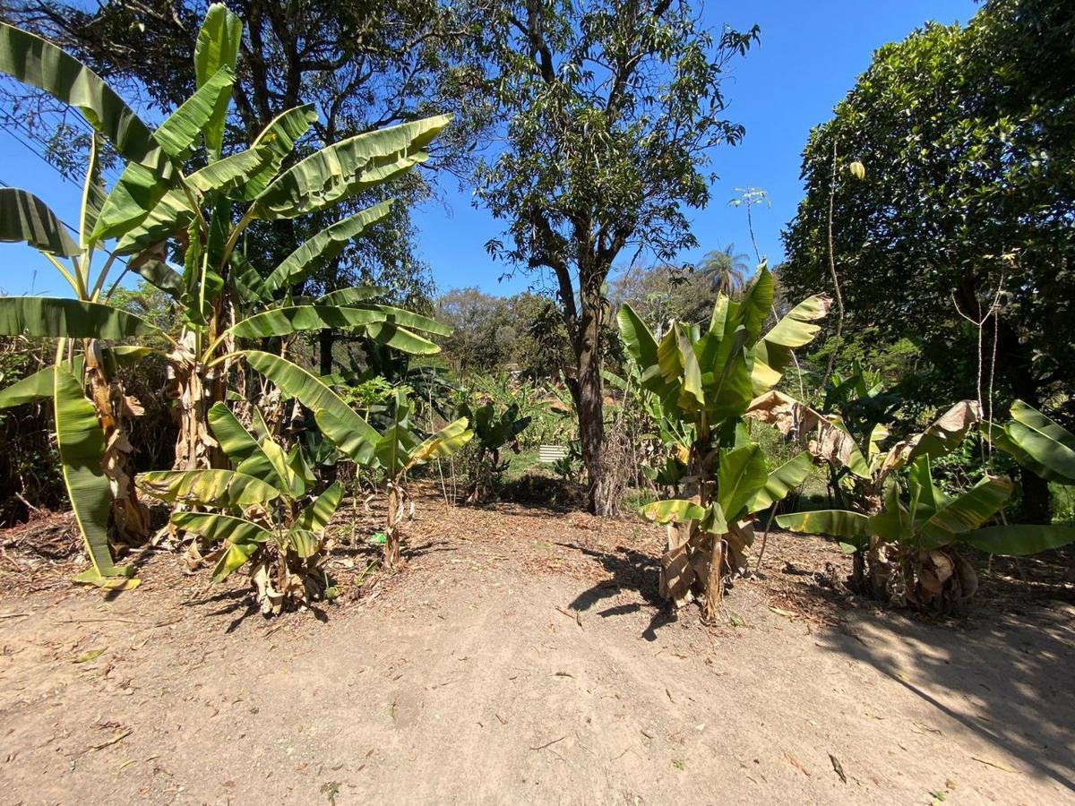 Fazenda, Vianópolis, 3 Quartos, 2 Vagas