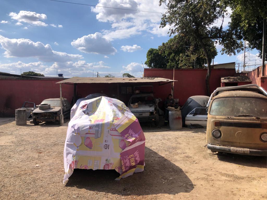 Lote, São Gabriel