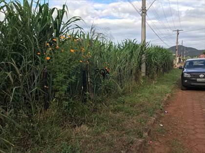 Lote, Nacional, 0 Quarto, 0 Vaga