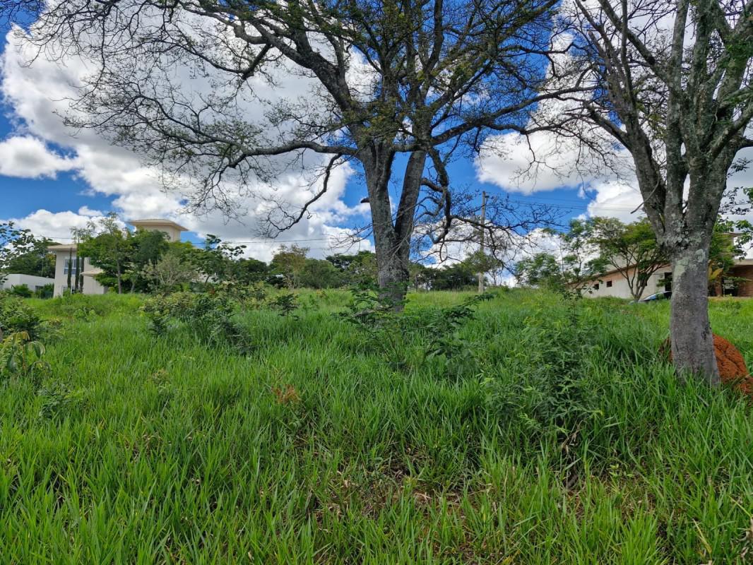 Lote, Lagoinha de Fora, 0 Quarto, 0 Vaga