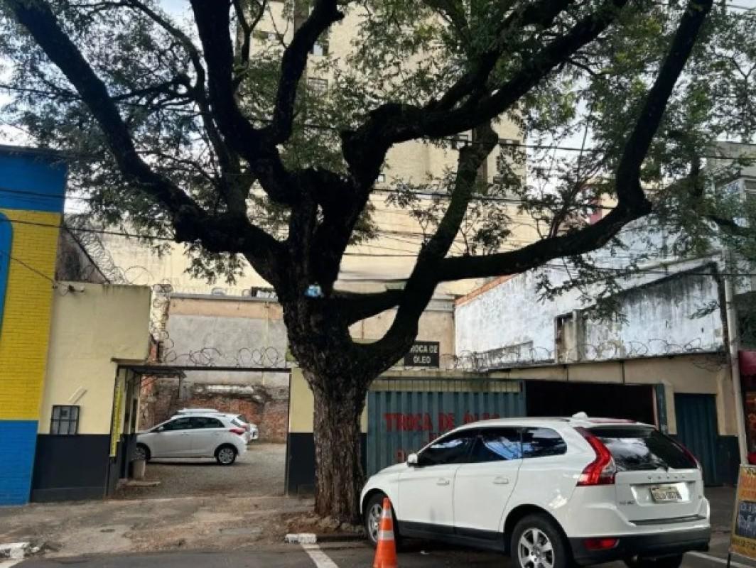 Lote, Barro Preto, 0 Quarto, 15 Vagas