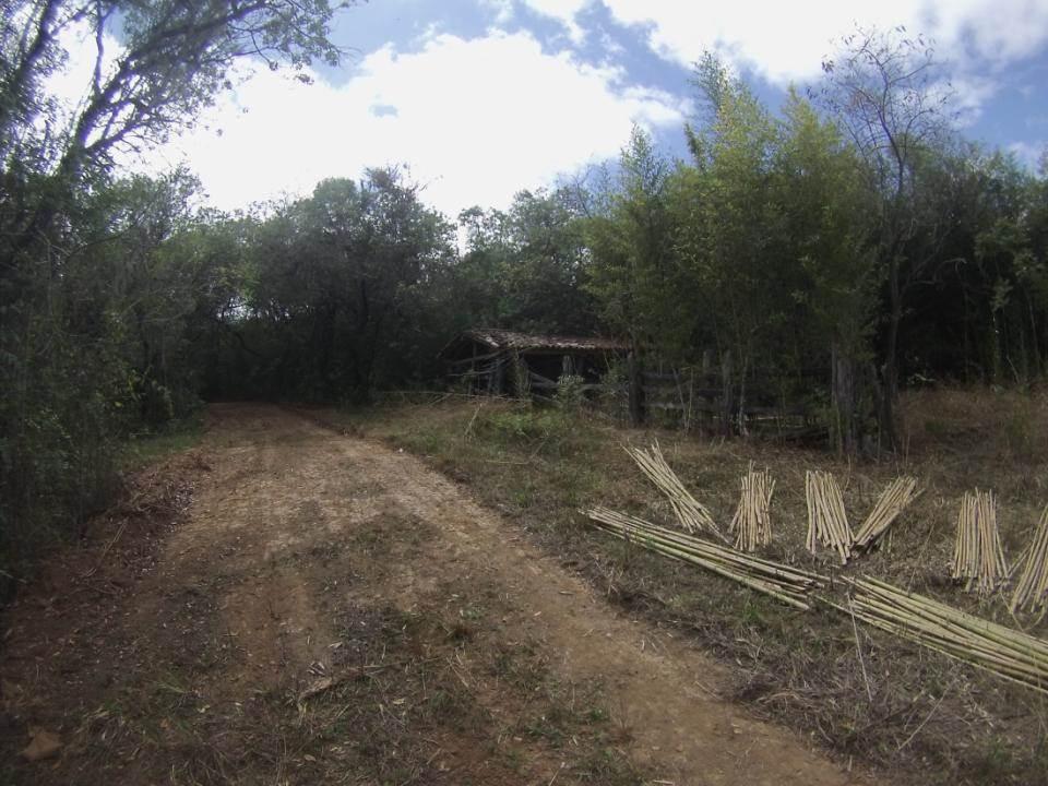Fazenda, Centro, 1 Quarto, 0 Vaga