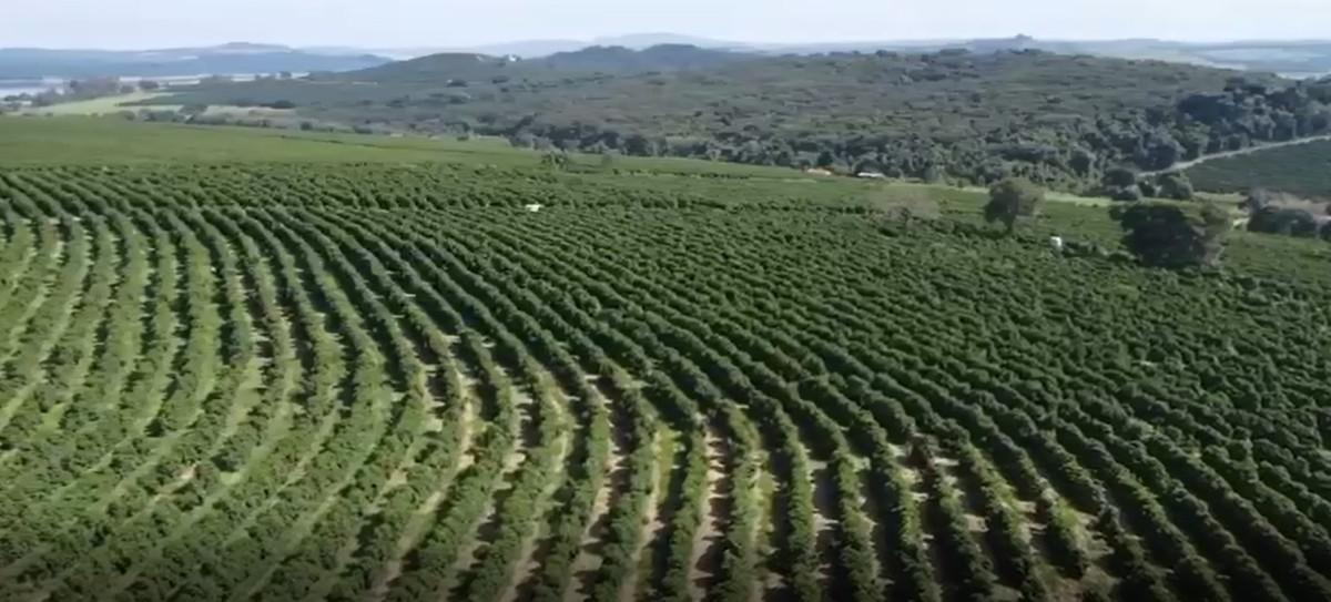 Fazenda, Zona Rural, 0 Quarto, 0 Vaga