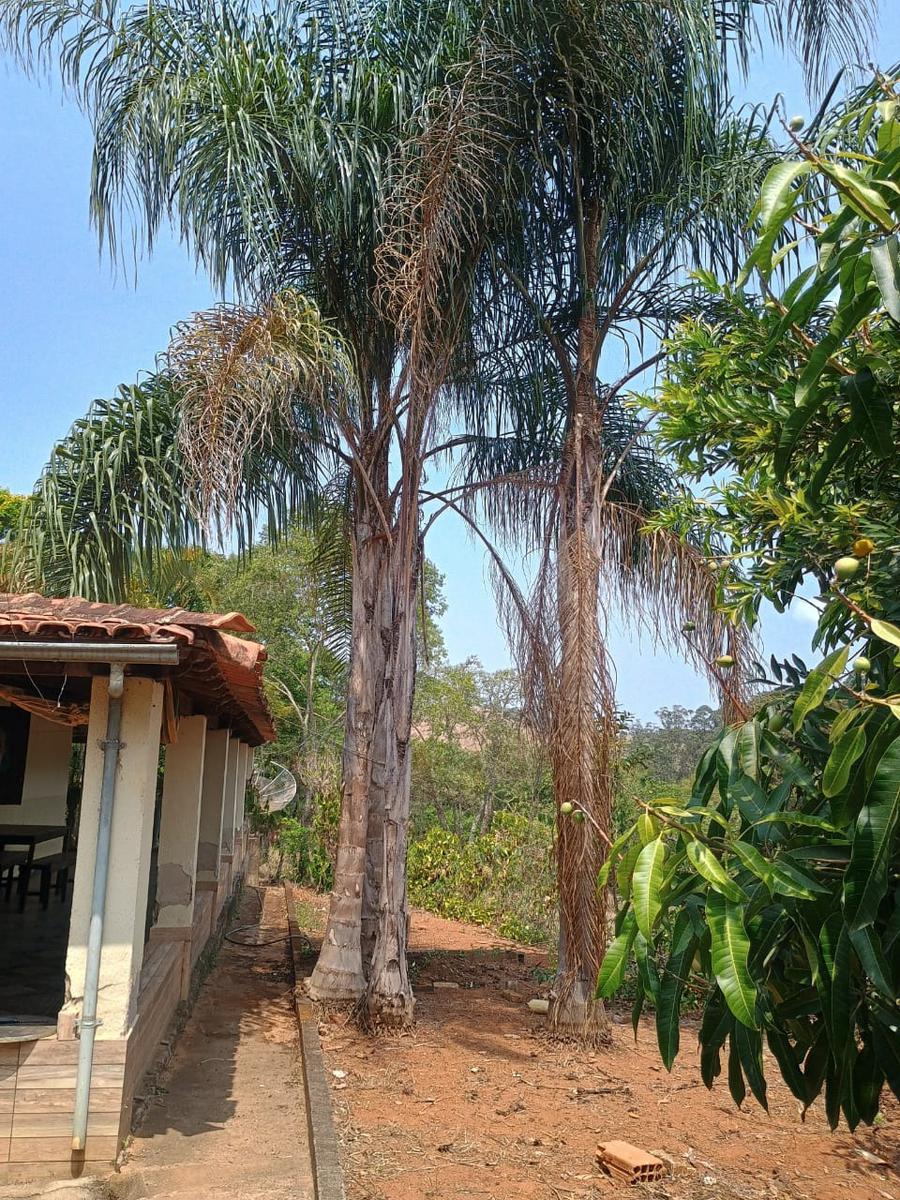 Fazenda, Centro, 3 Quartos, 10 Vagas, 1 Suíte